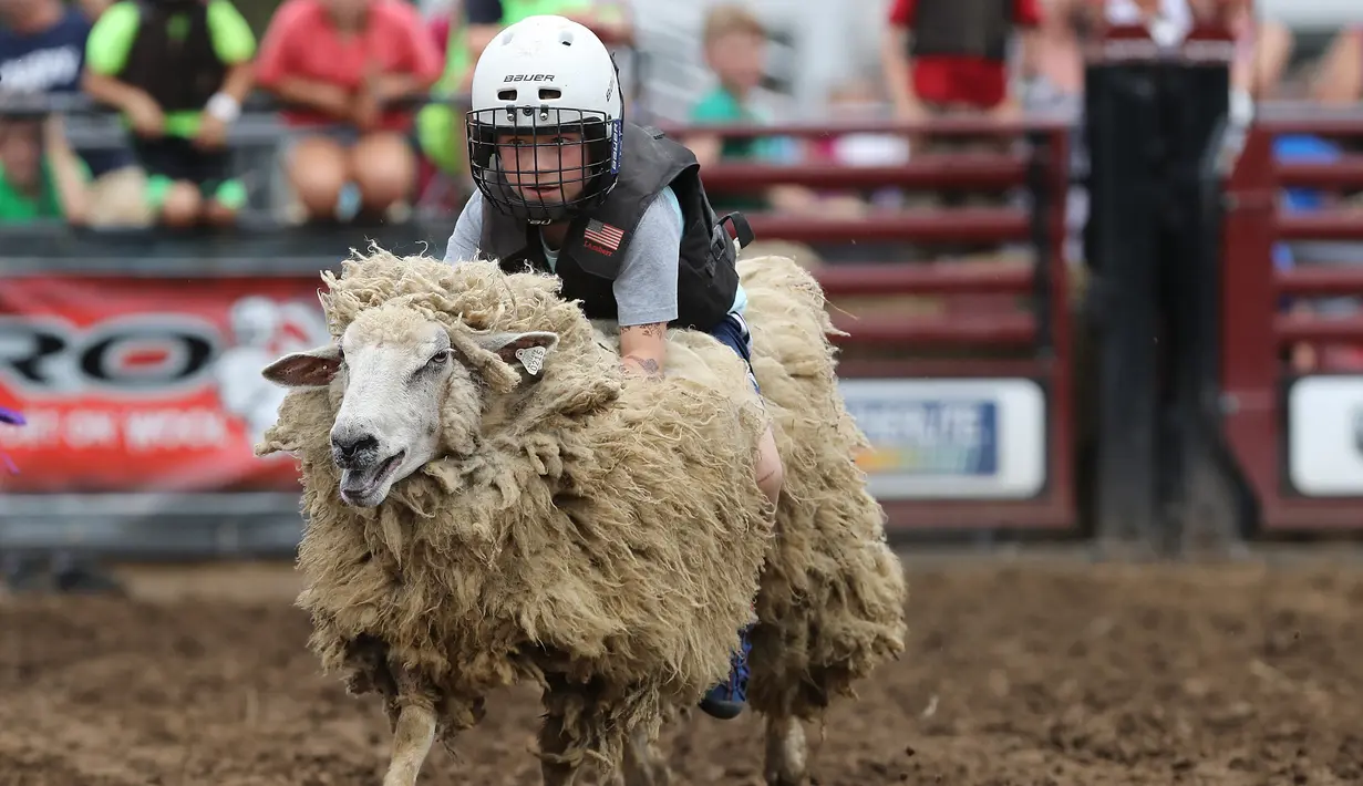Seorang anak mengenakan helm dan rompi pelindung menungangi domba selama kompetisi Wool Riders Only Mutton Bustin 'di Iowa State Fair di Des Moines, Iowa, AS (12/9/2019). Lebih dari satu juta pengunjung mengunjungi Iowa State Fair per tahun. (Chip Somodevilla/Getty Images/AFP)
