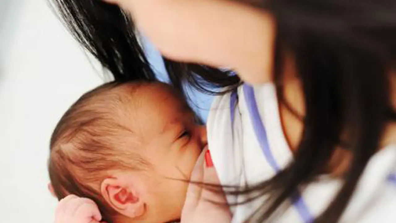 Foto: copyright shutterstock.com