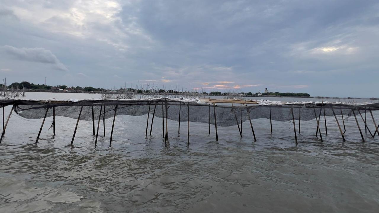FOTO: Penampakan Terkini Pagar Laut Misterius di Tangerang, Akhirnya Disegel KKP Atas Perintah Prabowo