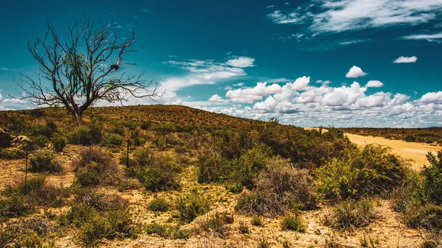Lembah Klein Karoo