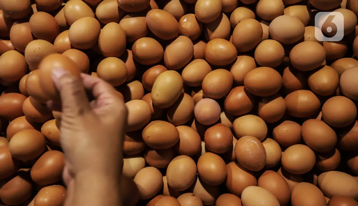 Penjual memilih telur ayam ras yang dijual di Pasar Kebayoran Lama, Jakarta, Minggu (5/3/2023). Dinas Ketahanan Pangan, Kelautan, dan Pertanian (DKPKP) DKI Jakarta menyampaikan bahwa terdapat peningkatan permintaan kebutuhan pangan masyarakat jelang Ramadan 2023. (Liputan6.com/Johan Tallo)