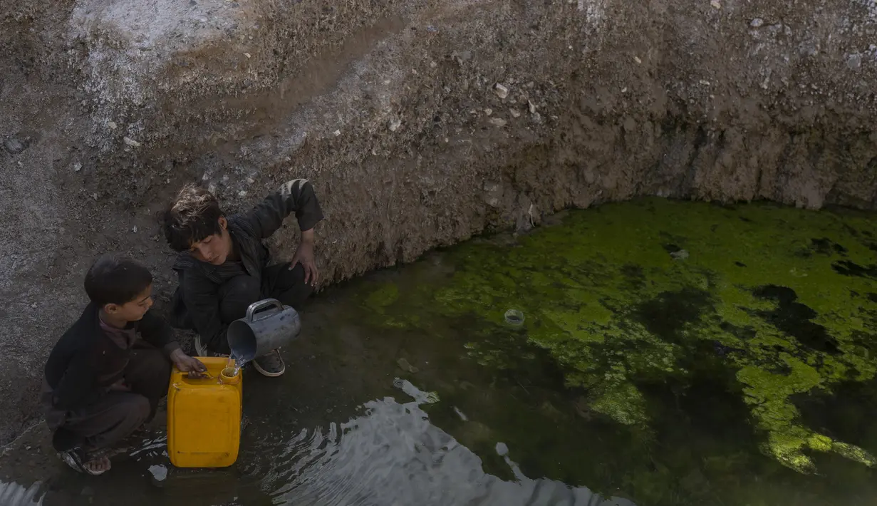 Dua bersaudara mengisi dirigen dengan air dari kolam tergenang sekitar 3 km dari rumah mereka di desa Kamar Kalagh di luar Herat, pada 26 November 2021. Kekeringan Afghanistan, yang terburuk dalam beberapa dekade, kini memasuki tahun kedua, diperburuk oleh perubahan iklim. (AP/Petros Giannakouris)
