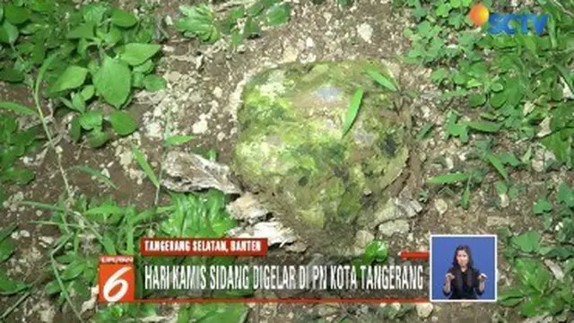 Deddy Octo Simbolon, warga Pamulang, Tangerang Selatan, Banten, dituntut tetangganya sendiri Hendra Apriansyah, hingga miliaran rupiah, lantaran dituduh menebang pohon milik Hendra.