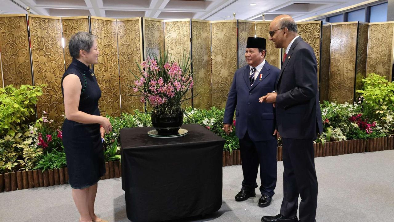 Cantiknya Anggrek Bernama Ibu Prabowo di Singapura
