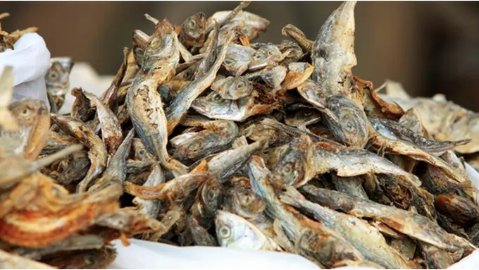 Courtesy ShutterStock.com