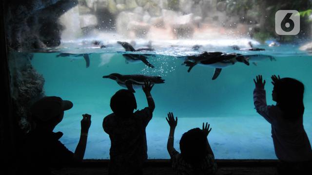Taman Safari Indonesia Ramai Dikunjungi Wisatawan