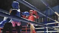 Kejuaraan Muaythai Terbuka Diikuti 100 Atlet, Jaring Bibit Baru