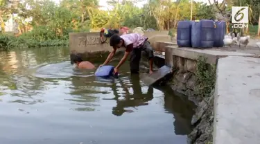 Dua bulan tanpa hujan, Desa Kalianyar di Indramayu alami krisis air. Warga terpaksa mandi di kubangan air kotor.