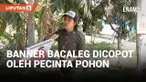 Salut! Pria Ini Lepas Banner Bacaleg yang Ada di Pohon