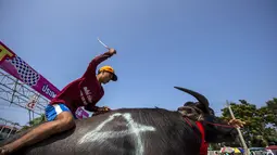 Seorang joki memacu kerbaunya dalam festival balap kerbau di Chonburi, Thailand (26/10/2015). Festival tahunan itu diikuti puluhan petani di Chonburi untuk merayakan panen padi. (Reuters/Athit Perawongmetha)