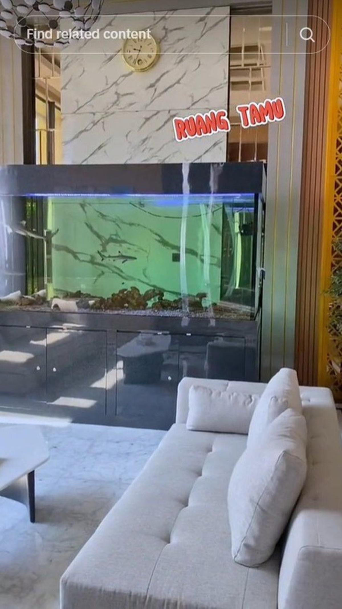 Masuk ke dalam rumah megahnya, terdapat aquarium super besar yang berisi ikan-ikan cantik. Bahkan di dalamnya ada ikan hiu.