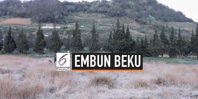 VIDEO: Berburu Embun Beku di Dataran Tinggi Dieng