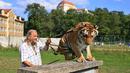 Pemilik dan pelatih hewan sirkus, Jaromir Joo saat mengajak harimaunya yang bernama Taiga bermain di Letovice, Republik Ceko, 30 Agustus 2015. (AFP PHOTO/Radek MICA)