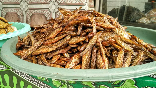 Ikan Bada Masiak
