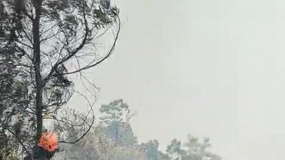 Kebakaran Bromo Kian Mengkhawatirkan, Api Mulai Masuk Wilayah Malang