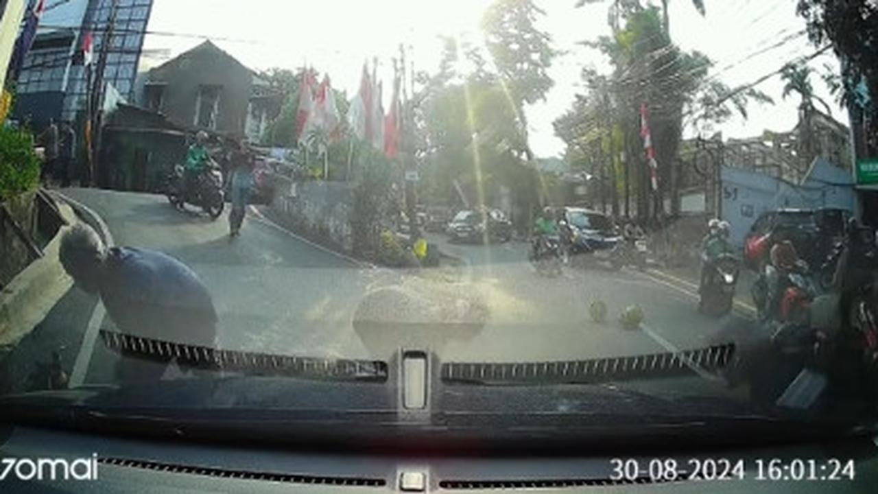 Bikin Tengang, Momen Mobil Bak Isian Gas LPG Terjatuh di Jalan Ini Curi Perhatian