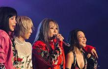Penjualan Tiket Konser 2NE1 Dibuka Hari Ini, Segini Harga Tiket 2024-25 2NE1 Asia Tour (Welcome Back)
