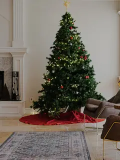 Ilustrasi pohon Natal. (Photo by Ralph (Ravi) Kayden on Unsplash)