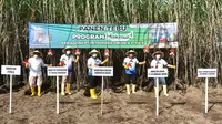PT Pupuk Indonesia (Persero) menyebut program Makmur berhasil meningkatkan produktivitas dan pendapatan petani tebu di Kecamatan Ngadiluwih, Kediri, Jawa Timur.