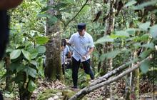 Pemkab Lampung Selatan Gencarkan Penanaman Pohon di Gunung Rajabasa, Upaya Konkret Cegah Bencana
