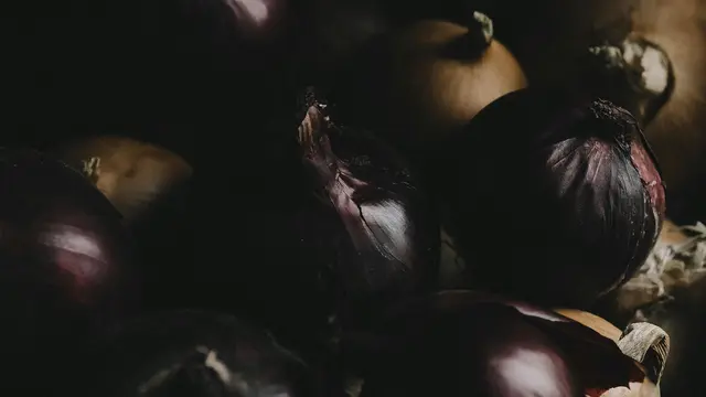 Meredakan Gejala Flu dan Batuk