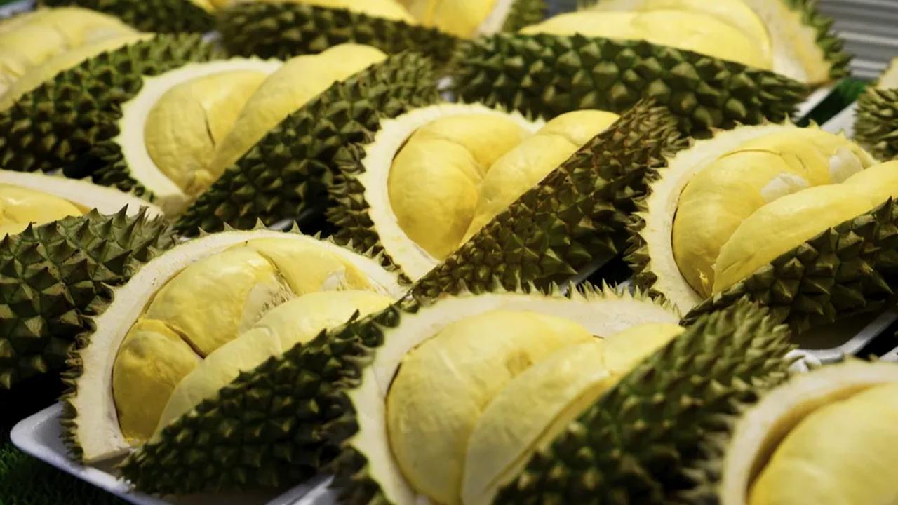 Indonesia belum bisa membudidayakan durian monthong dengan baik