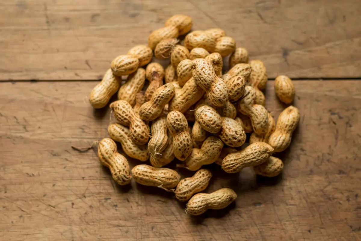 Top 3: Cara Mengolah Kacang Tanah untuk Kesehatan Jantung