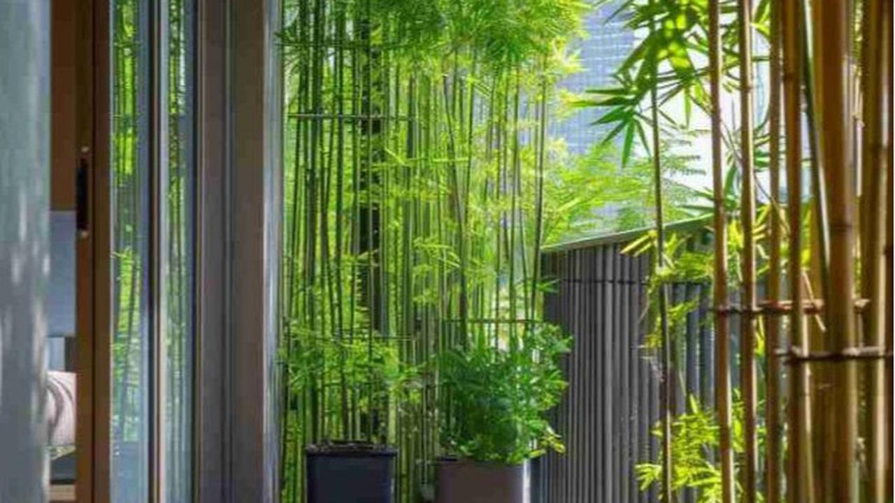 Ilustrasi Balkon dengan Tanaman Bambu Jepang untuk Nuansa Eksotis (©Pinterest)