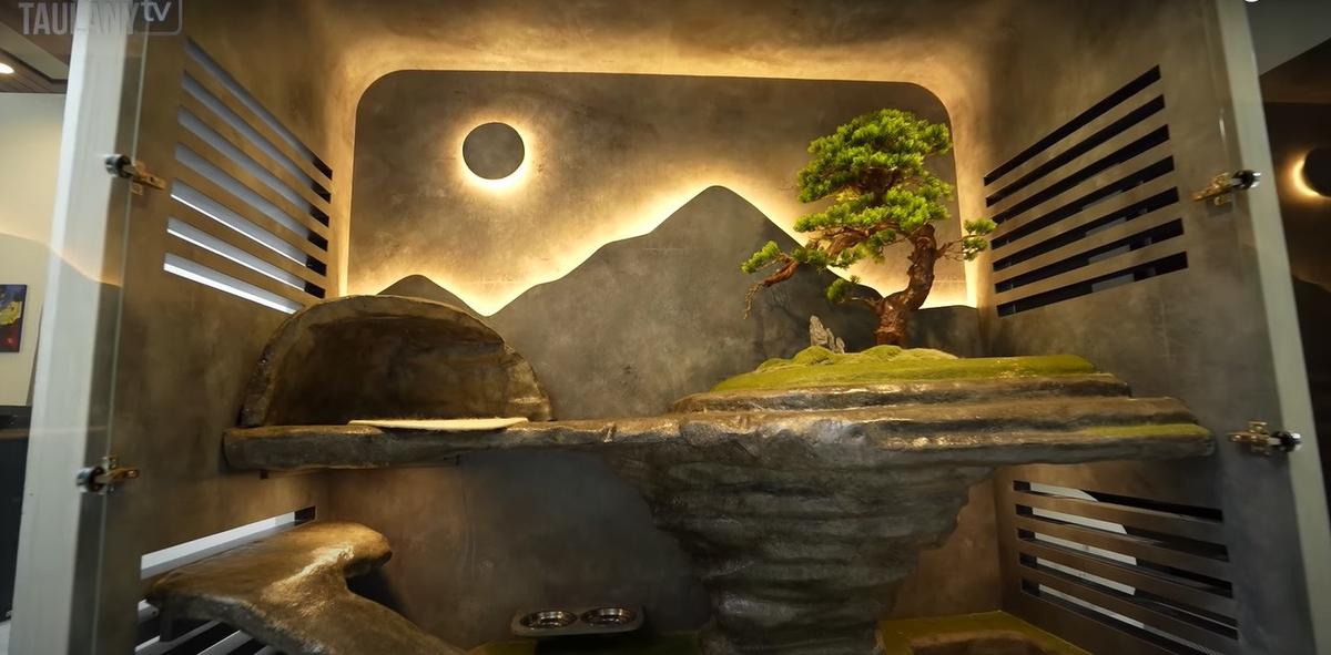 Paludarium hingga Dapur Elegan, Ini Potret Rumah Rachel Vennya yang Estetik dan Mewah