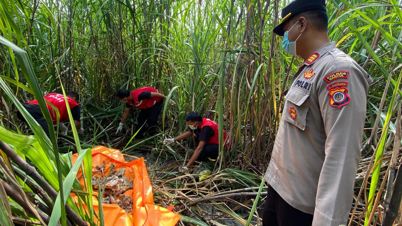 Heboh Temuan Kerangka Manusia di Kebun Tebu Bantul, Polisi Duga Korban Perempuan Usia 25 Tahun