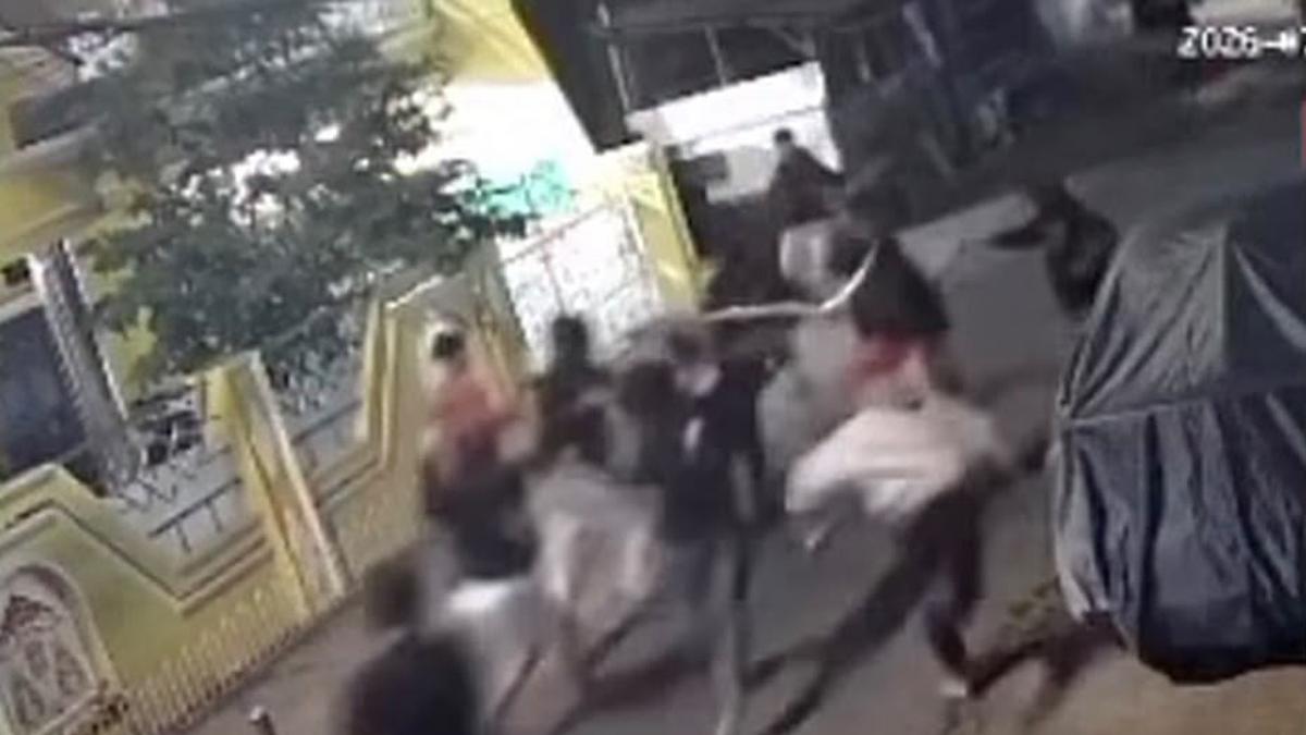 Tawuran Maut di Cilincing, Pemuda Tewas dengan Tangan Putus