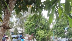 Tanggap bencana Rumah BUMN Pertamina Banjarmasin bagi warga terdampak banjir di Desa Lok Baintan Dalam, Kecamatan Sungai Tabuk, Kalimantan Selatan.