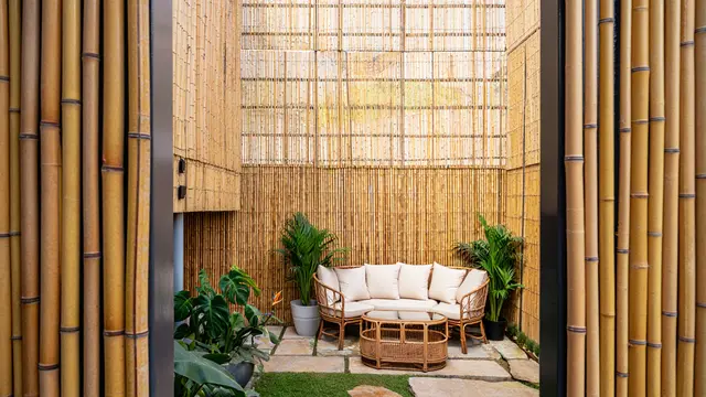 Tips Agar Halaman Rumah Terasa Teduh