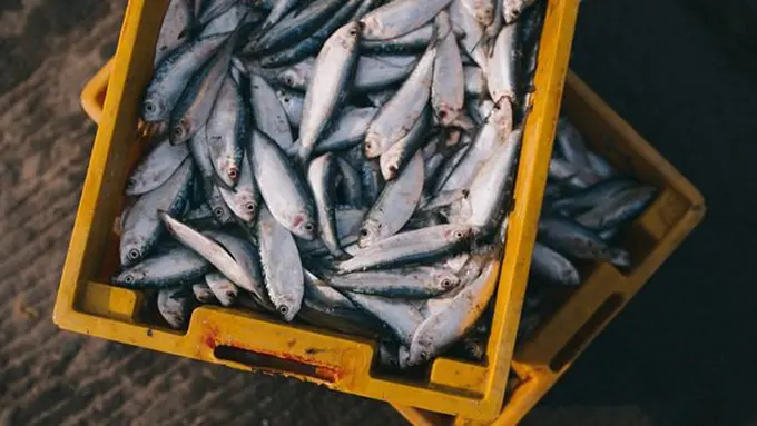 copyright Pixabay.com