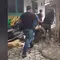 Dwi Bagus Sembunyi di Jombang, Digotong dan Teriak Saat Ditangkap