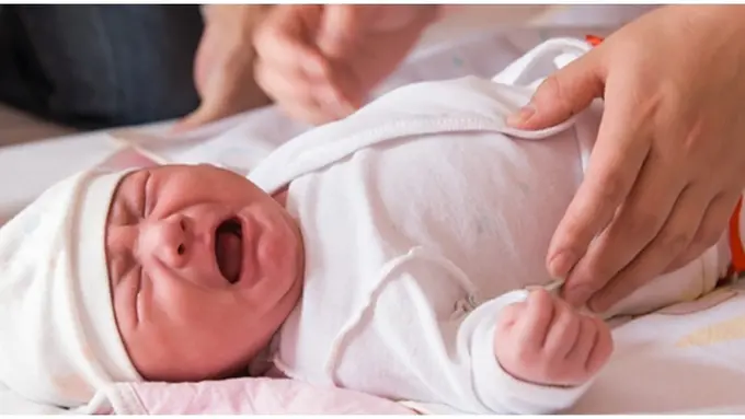 Foto: copyright shutterstock.com