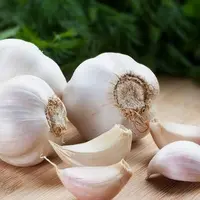 Bawang putih. (iStockphoto)
