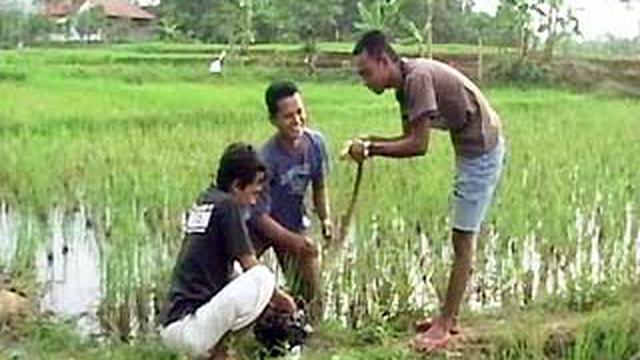 Mancing Belut Sambil Menunggu Berbuka News Liputan6com