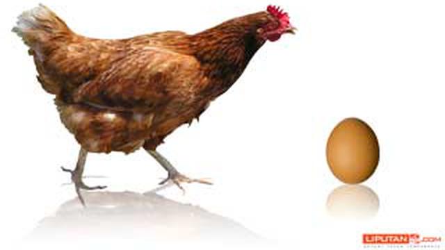 Ayam Atau Telur Duluan Terjawab Sudah Tekno Liputan6com
