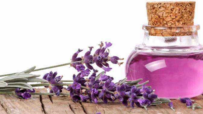  Gambar  Bunga  Lavender  Yang Cantik  Klik OK