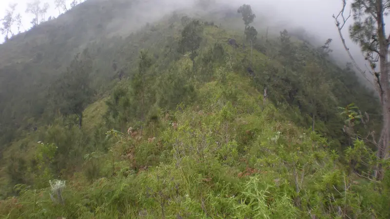 20151226-Pendaki Tersesat-Gunung Wilis-Kediri