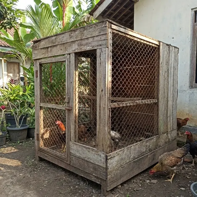 Kandang kawat Box Minimalis