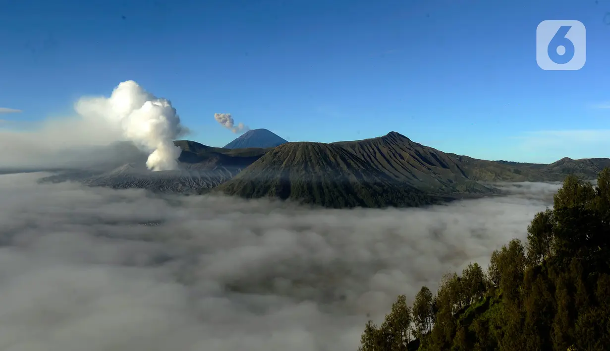 Asap vulkanik berwarna putih terlihat keluar dari kawah Bromo. (merdeka.com/Arie Basuki)