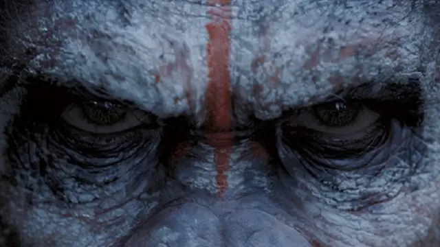 Foto-foto Terbaru Dawn of the Planet of the Apes