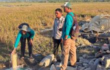 BRMP Maluku Optimistis Irigasi Perpompaan Tingkatkan Produktivitas Pertanian di Buru