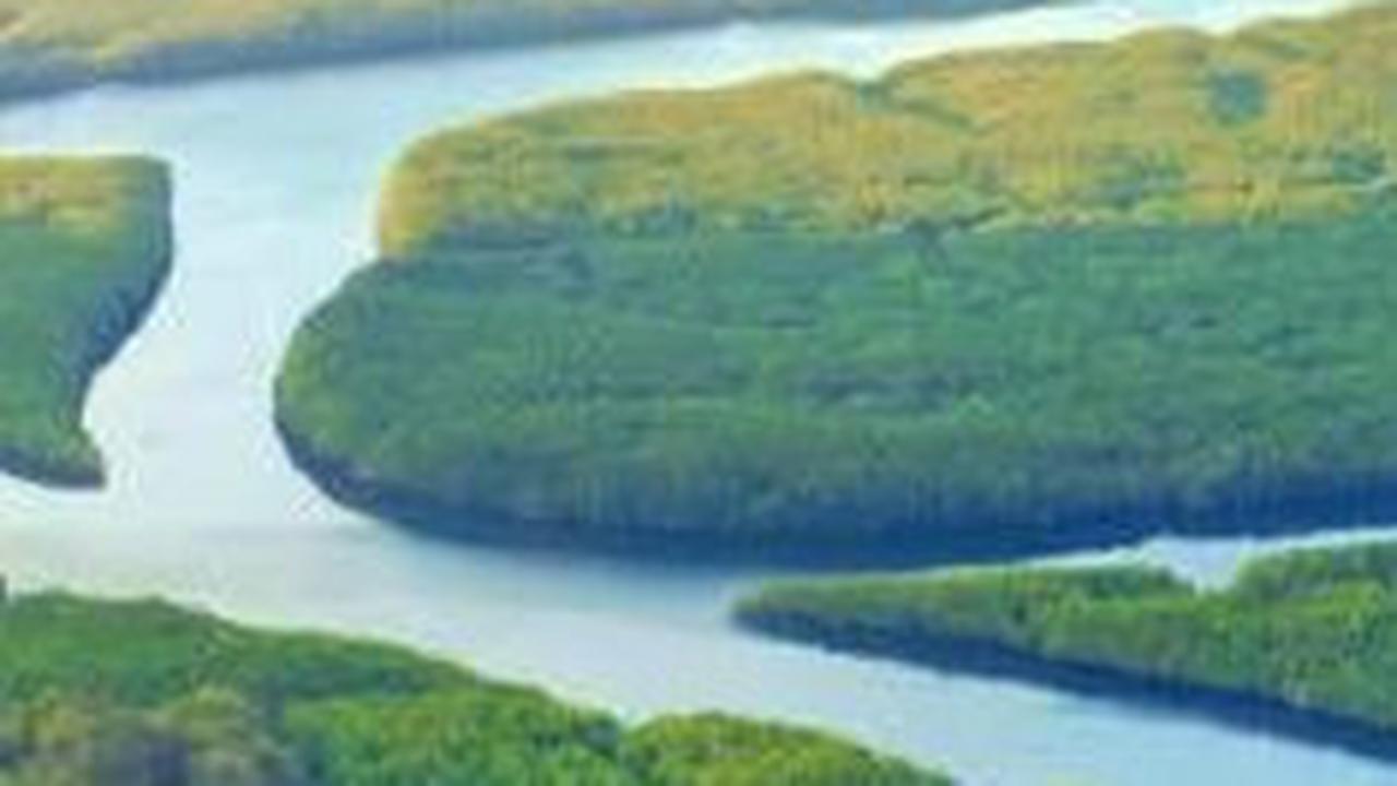 Sungai Amazon Sering Dianggap Punya Aliran Paling Jauh, Ternyata Ini Sungai Terpanjang di Dunia