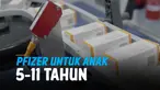 pfizer anak