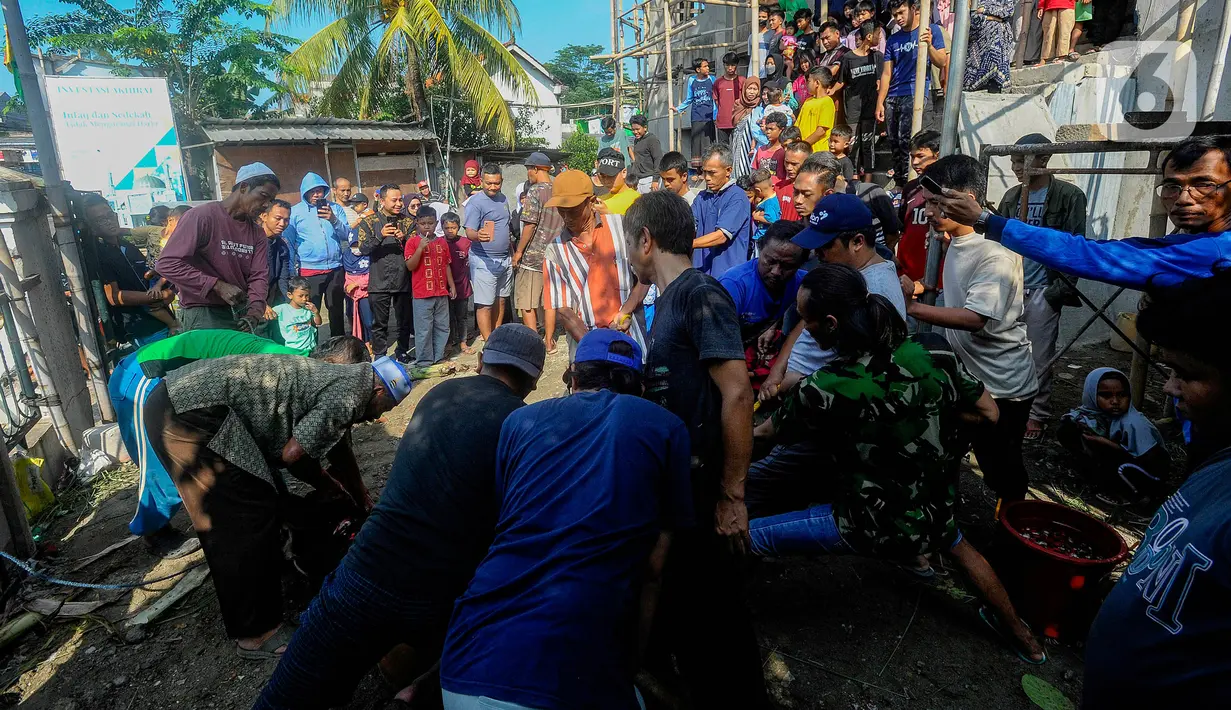 Saat Idul Adha, salah satu momen yang ramai ditonton warga adalah pemotongan hewan kurban. (merdeka.com/Arie Basuki)