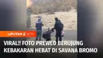Kegiatan foto prewedding di padang savana Gunung Bromo memicu kebakaran hebat yang hingga kini belum juga padam. Akhirnya Polres Probolinggo menetapkan satu orang tersangka atas kejadian itu.