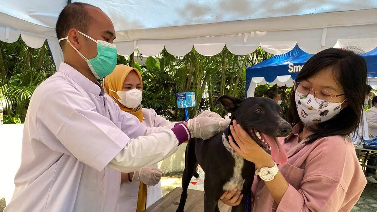 Sambut Hari Rabies Sedunia, Kenali Manfaat Vaksinasi Rabies untuk Anjing Peliharaan Anda